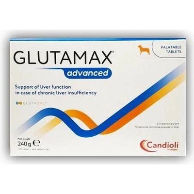 GlutaMax Advanced multiblister 120 tbl
