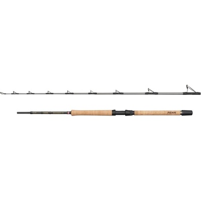 Penn Regiment IV Pre Boat 2,10 m 20-30 lb 2 Diely