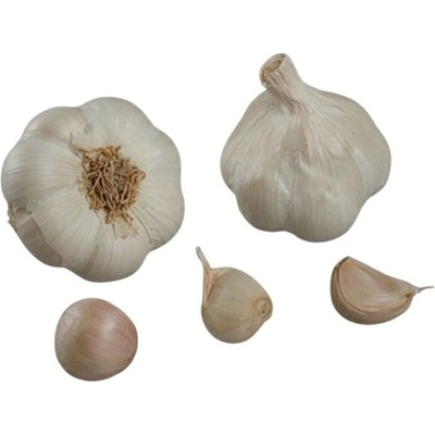 Francouzský sadbový česnek MESSIDROME počet v balení: 4 palice