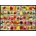 D-Toys - Puzzle Flowers Posters - 1 000 piese