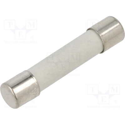 EATON/BUSSMANN BK-GBB-10-R Pojistka: tavná; keramická,kulatý; 10A; 250VAC; 125VDC; 6,3x32mm