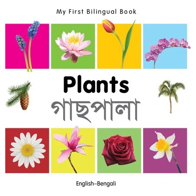 My First Bilingual Book-Plants English-Bengali Milet PublishingBoard Books – Hledejceny.cz