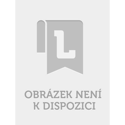 Ministři, kulisáci a podkomouši