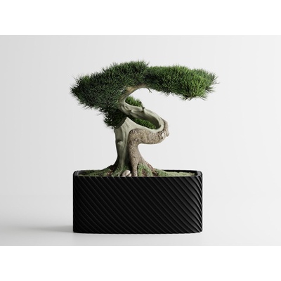 Кашпа Bonzai голяма черен мат