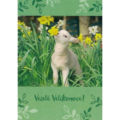 Pohlednice Veselé Velikonoce 15
