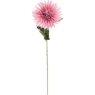 KS CHRYZANTÉMA RUŽOVÁ 60CM