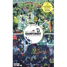 Day & Night: Rainforest - Explore the world around the clock Pevná vazba