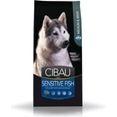 Cibau dog sensitive fish Medium & maxi 12 kg