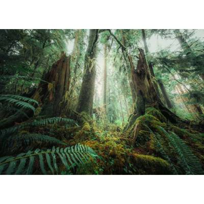 Ravensburger - Puzzle Power of Nature: Forest - 1 000 piese
