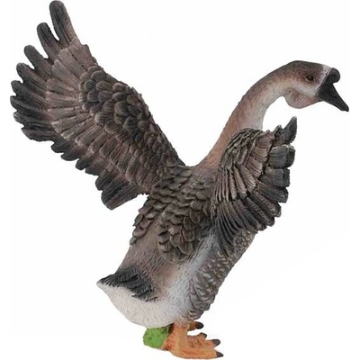 Collecta Houser