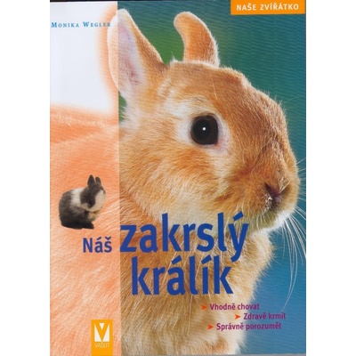Náš zakrslý králik