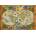 Grafika Art Puzzle - Puzzle Creatures Of The Earth Map - 1 000 piese