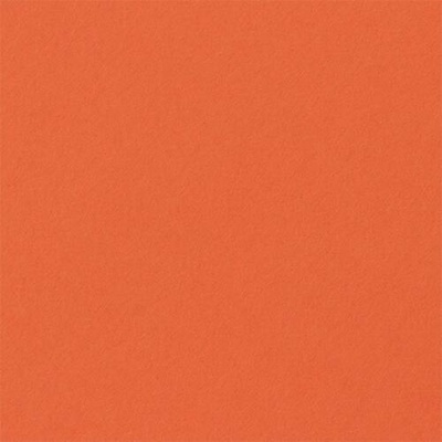 Fabriano Картон Elle Erre, 70 x 100 cm, 220 g/m2, № 126, оранжев (46470126/10_ARAGOSTA)