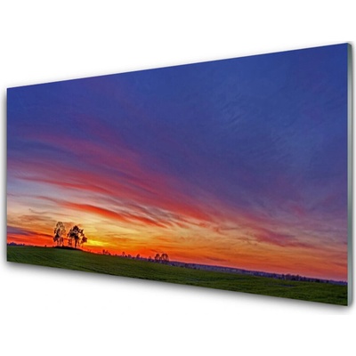 Obraz na skle Krajina Pole Stromy Příroda 100x50 cm