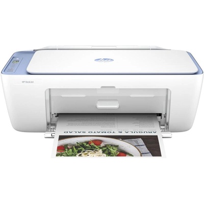 HP DeskJet 4222E (60K29B)
