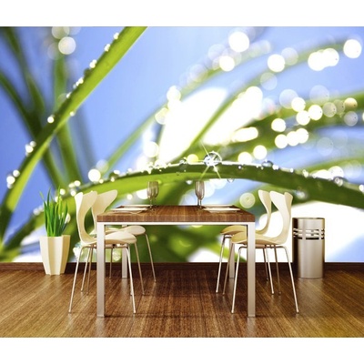 Dimex XL-189 vliesová fototapeta na zeď Grass rozměry 330 x 220 cm