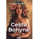 Cesta Bohyně