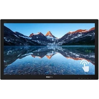 Philips 222B9TN