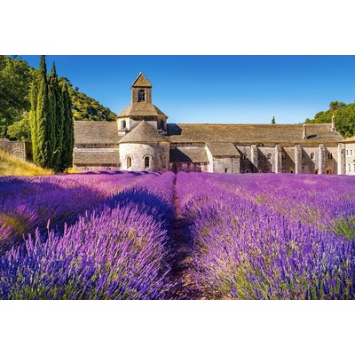 Castorland Levandulové pole v Provence Francie 1000 dielov