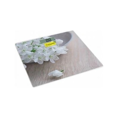 Maestro color Bathroom scale Maestro MR 1819