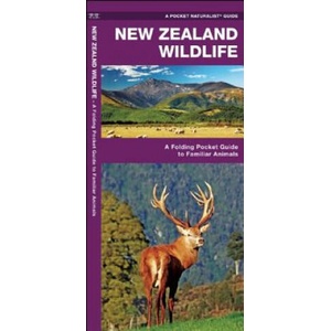 New Zealand Wildlife (ISBN: 9781583558904)