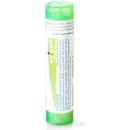 Iris Versicolor gra.1 x 4 g 5CH