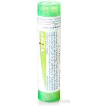 Iris Versicolor gra.1 x 4 g 5CH