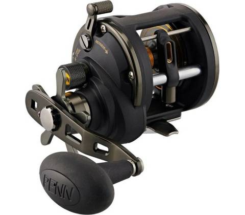 Penn Squall II 20LW