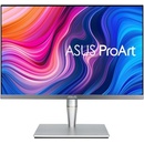 Monitory Asus PA24AC