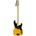 BaCH BBP-60