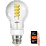 Immax E27 5W 2700-6000K (IM0314)