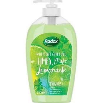 Radox Protect + Replenish Anti-bacterial tekuté mýdlo 250 ml