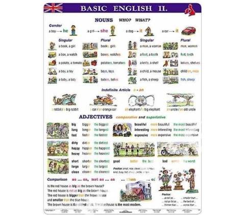 Basic English II.