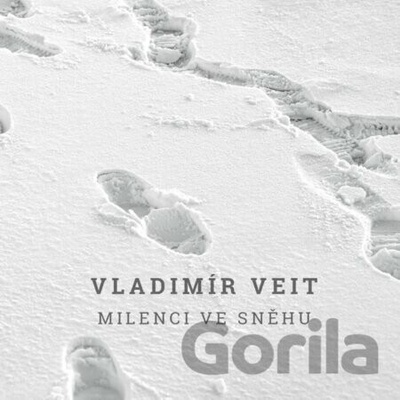 Milenci ve sněhu