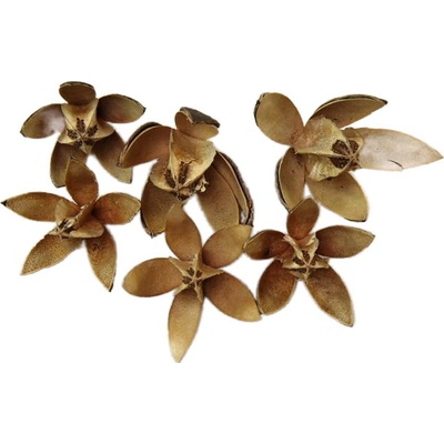 lily natur, cena za 20 ks