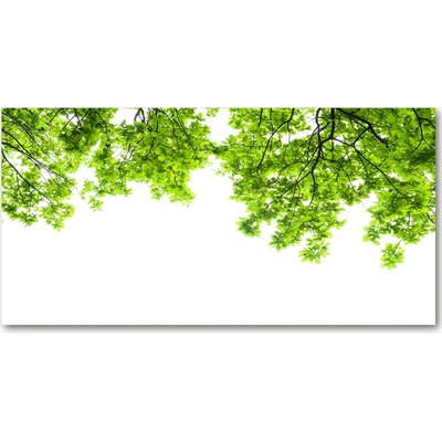 Fotoobraz na skle lístie duba 100x50 cm
