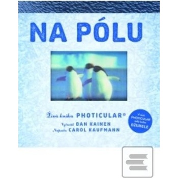Na pólu