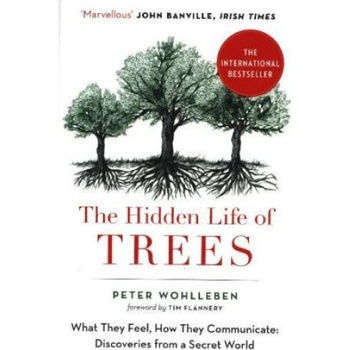 The Hidden Life Of Trees