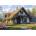 Dino - Puzzle Cottage in the valley - 100 piese