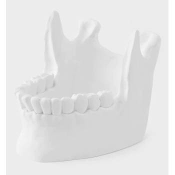 Image 1 of KILLSTAR купа KILLSTAR - Ossuary - Бяла - KSRA008118