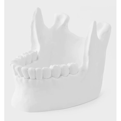 KILLSTAR купа KILLSTAR - Ossuary - Бяла - KSRA008118