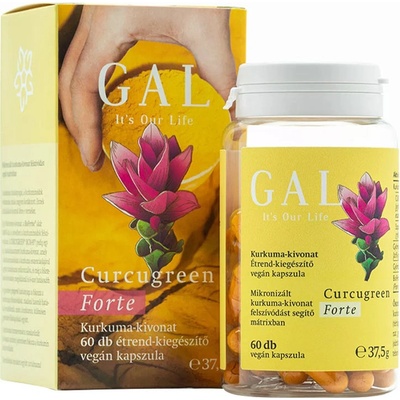 Gal Biocurcumin Forte 300 mg x 60 kapslí