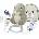 Einhell Momini NebuBunny