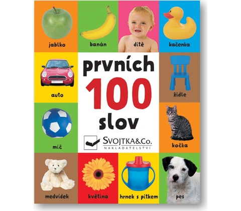 Prvních 100 slov