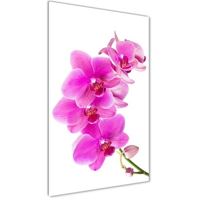 Vertikálny foto obraz fotografie na skle Ružová orchidea 50x100 cm