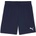 PUMA Teamgoal shorts s