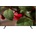 Samsung UE70RU7022