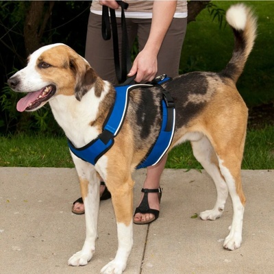 PetSafe Postroj EasySport