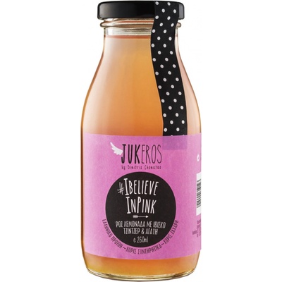 Jukeros Domácí zázvorová limonáda s ibiškem bez cukru 260 ml