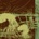 Cashier - The Weight CD